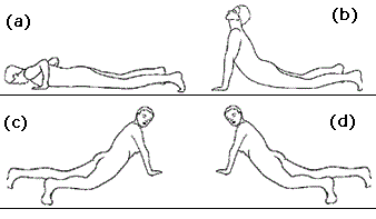 Yoga thải độc Shank Prakshalana - thanh lọc cơ thể